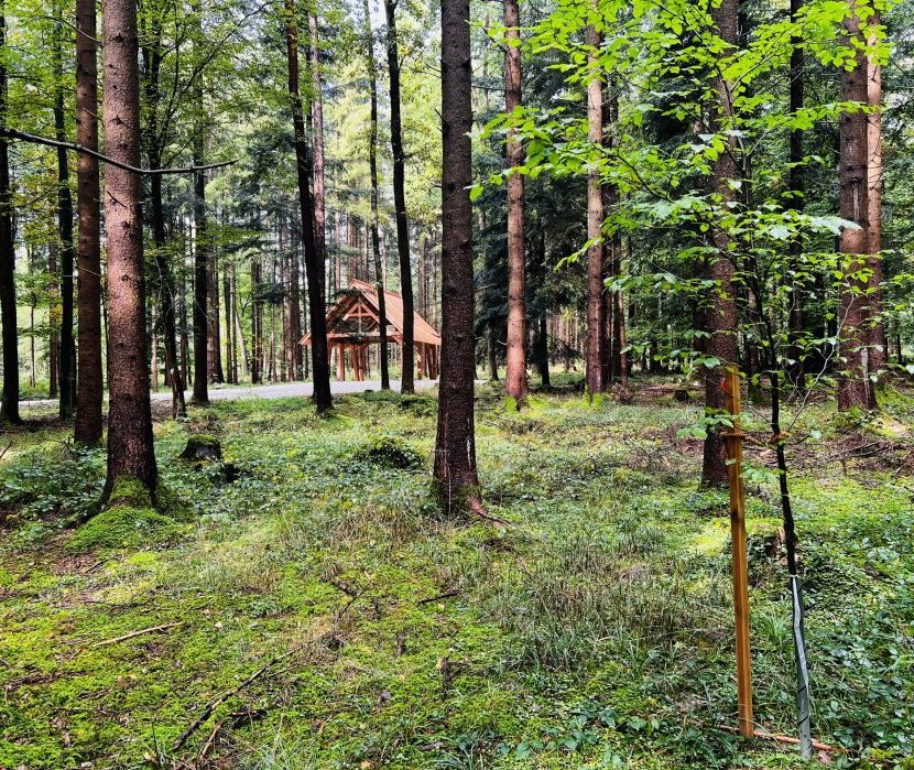 Der Holz-Pavillon auf dem Andachtsplatz des Waldfriedhofs Ammersee zwischen Bäumen