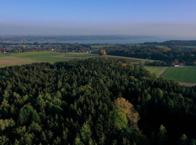 Eine Drohnenaufnahme des Waldgebiets des Naturfriedhofs Ammersee, im Hintergrund der Ammersee