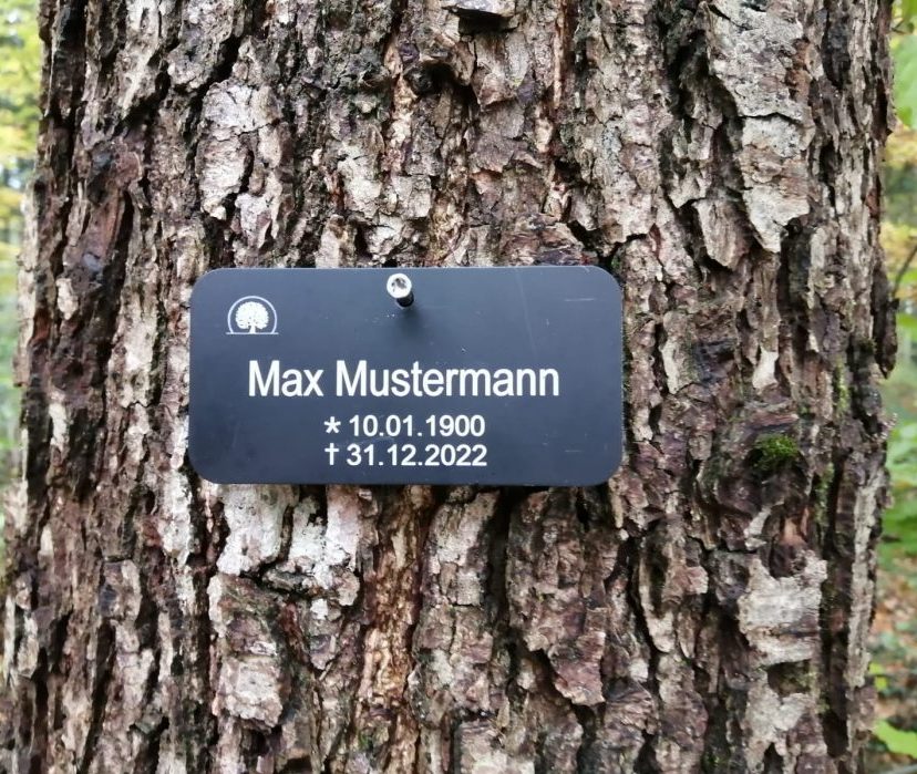 Eine beispielhafte schwarze "Max Mustermann"-Plakette auf einem Baum im Naturfriedhof Ammersee